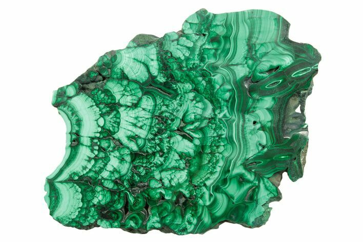 Flowery Polished Malachite Slab - D R Congo #379718
